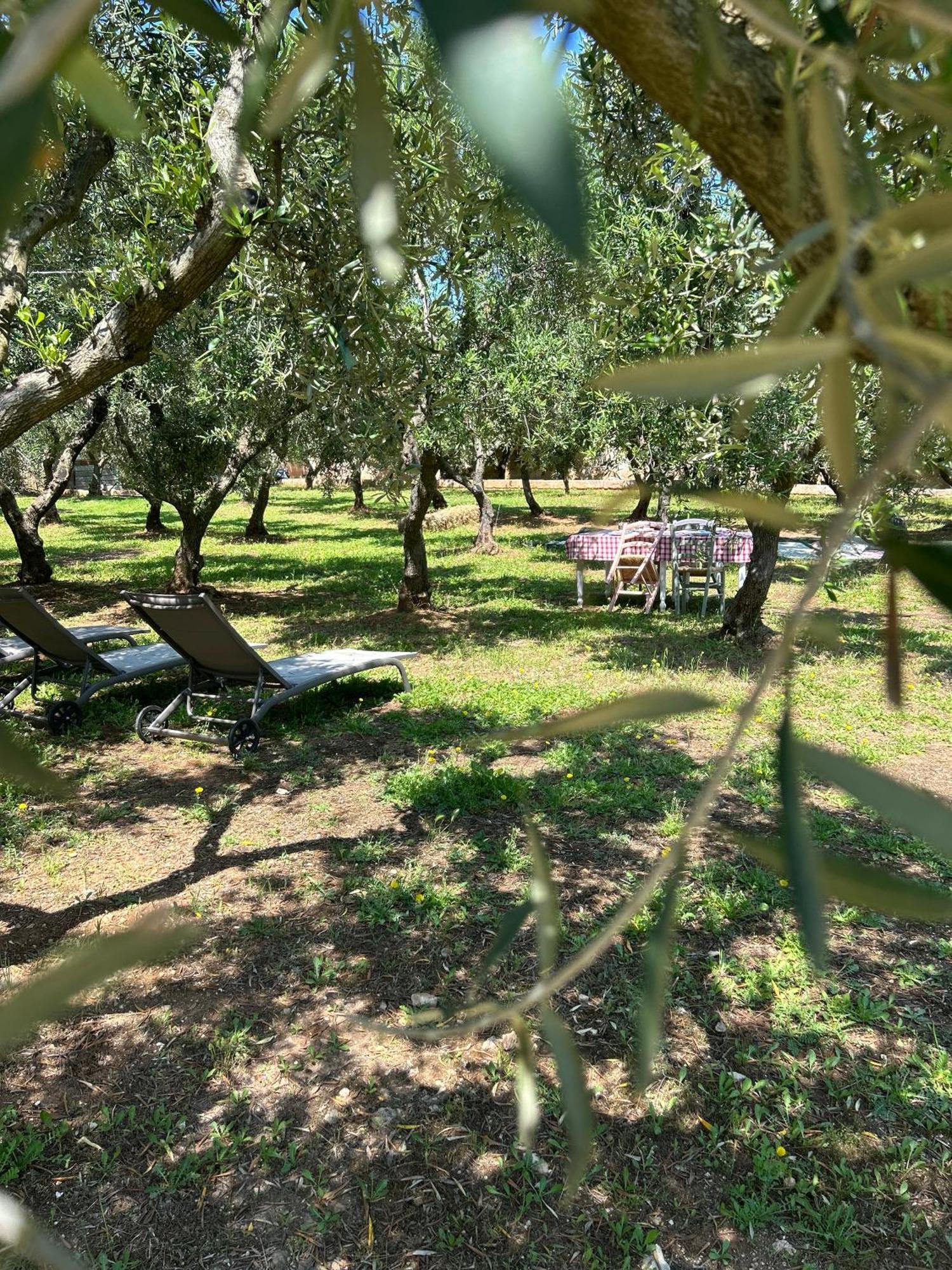 Sorelle Barnaba Country House Monopoli Eksteriør bilde